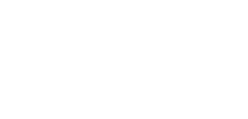 Disability confident employer